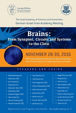 Brains: From Synapses, Circuits and Systems to the Clinic