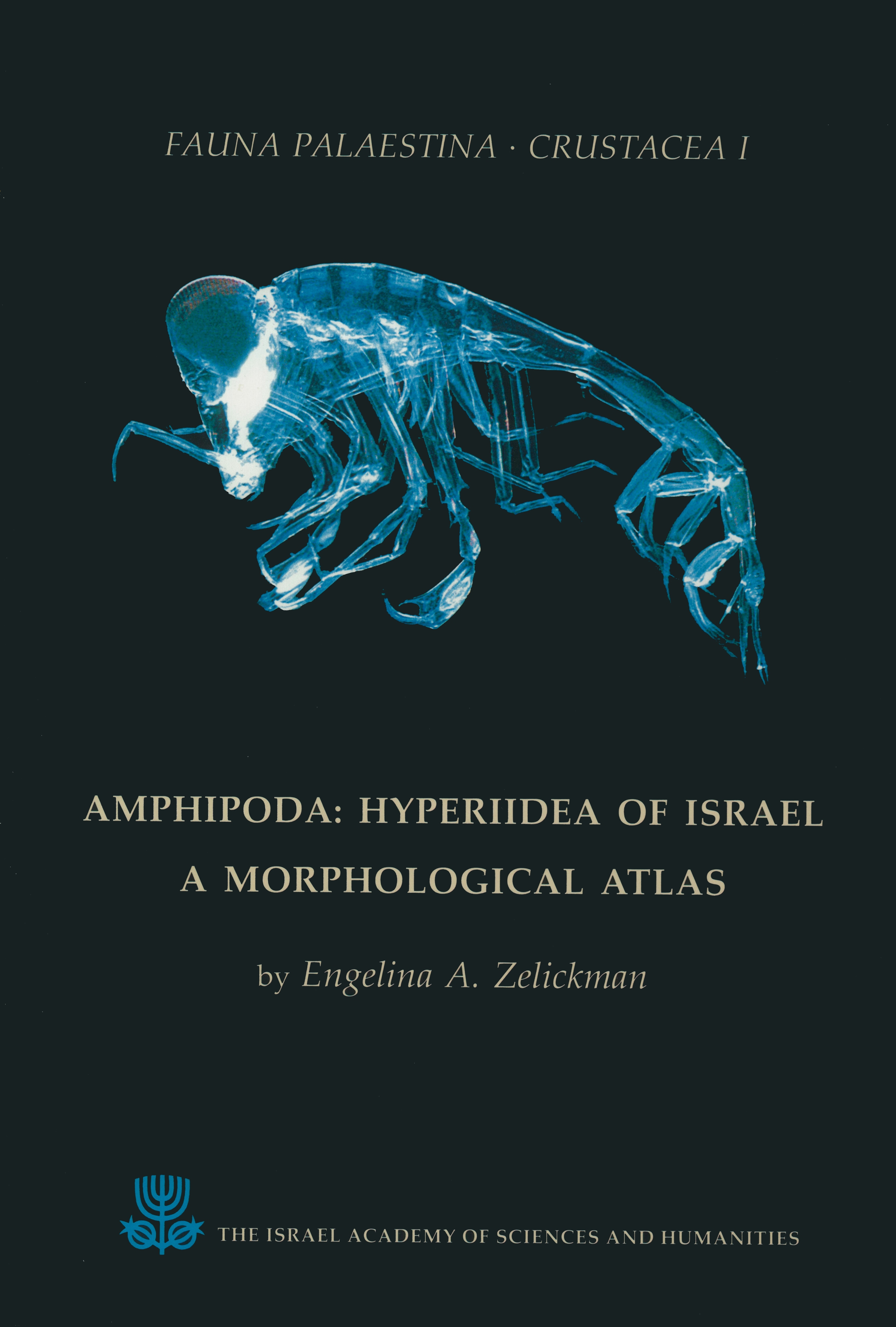 Crustacea I: Amphipoda: Hyperiidea of Israel – A Morphological Atlas