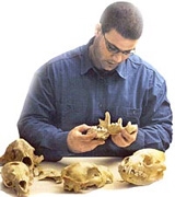 אוספי הטבע הלאומיים למחקר